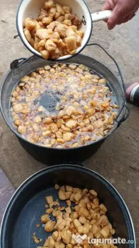 Vând bio,crescuți bio 