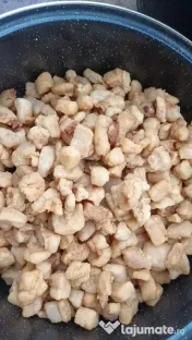 Vând bio,crescuți bio 