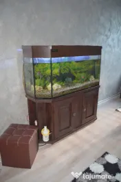 Azuga-Apartament cu trei camere -parter 