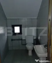 Proprietate 10 camere pentru investitie, teren 800 mp, Comun 