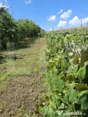 Casă, teren, anexe – Unțeni, Burlești - Proprietate cu 