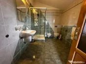 Casa de vanzare, 390 mp, zona Cetate 