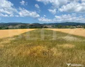 Teren extravilan de vanzare-10.400 mp, zona Vintu de Jos 