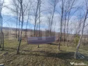 Cabana de lemn cu 700mp intravilan, Ciurea 