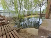 Proprietate deosebită 2 case, lac de pește, finisaje premi 