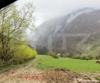 De vanzare teren intravilan Zarnesti (Plaiul Foii) 