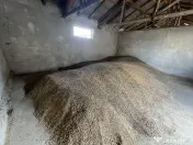 Furaje boabe hrana animale 