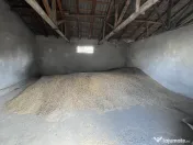 Furaje boabe hrana animale 