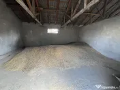Furaje boabe hrana animale 