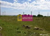 Teren aproape de Bucuresti langa padure 