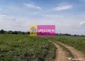 Teren aproape de Bucuresti langa padure 