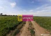 Teren aproape de Bucuresti langa padure 