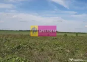 Teren aproape de Bucuresti langa padure 