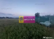 Teren aproape de Bucuresti langa padure 