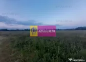 Teren aproape de Bucuresti langa padure 