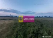 Teren aproape de Bucuresti langa padure 