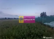 Teren aproape de Bucuresti langa padure 