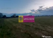 Teren aproape de Bucuresti langa padure 