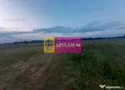 Teren aproape de Bucuresti langa padure 