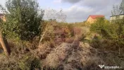 Teren foarte bun în 1 Decembrie Ilfov 