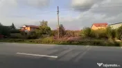 Teren foarte bun în 1 Decembrie Ilfov 
