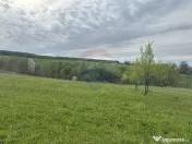 Teren 3,000mp Oslobeni / Strada Oslobeni punct GRADINA 
