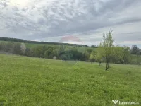 Teren 3,000mp Oslobeni / Strada Oslobeni punct GRADINA 