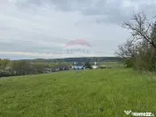 Teren 3,000mp Oslobeni / Strada Oslobeni punct GRADINA
