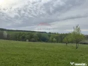 Teren 3,000mp Oslobeni / Strada Oslobeni punct GRADINA
