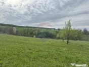 Teren 3,000mp Oslobeni / Strada Oslobeni punct GRADINA 