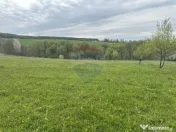 Teren 3,000mp Oslobeni / Strada Oslobeni punct GRADINA 