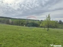Teren 3,000mp Oslobeni / Strada Oslobeni punct GRADINA
