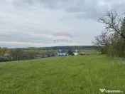 Teren 3,000mp Oslobeni / Strada Oslobeni punct GRADINA 