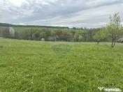 Teren 3,000mp Oslobeni / Strada Oslobeni punct GRADINA