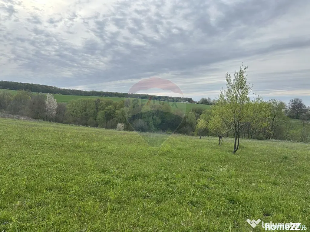 Teren 3,000mp Oslobeni / Strada Oslobeni punct GRADINA - Oslobeni (Neamt)