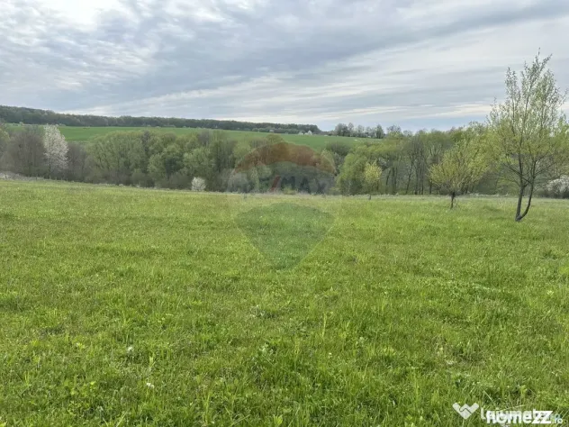 Teren 3,000mp Oslobeni / Strada Oslobeni punct GRADINA - Oslobeni (Neamt)