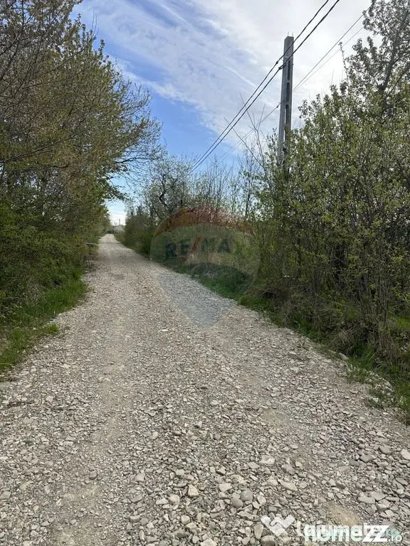 Teren 3,000mp Oslobeni / Strada Oslobeni punct GRADINA - Oslobeni (Neamt)