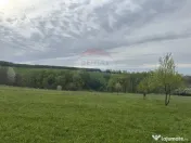 Teren 3,000mp Oslobeni / Strada Oslobeni punct GRADINA 