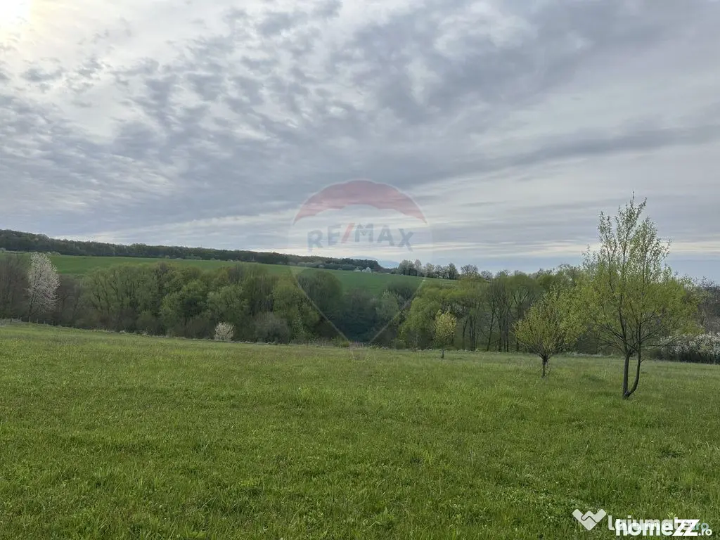 Teren 3,000mp Oslobeni / Strada Oslobeni punct GRADINA - Oslobeni (Neamt)