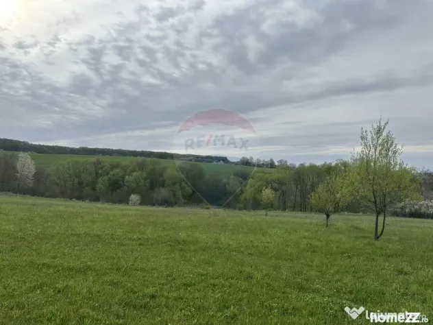 Teren 3,000mp Oslobeni / Strada Oslobeni punct GRADINA - Oslobeni (Neamt)