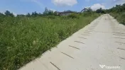Teren intravilan , Bucium Barnova 