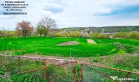 Teren intravilan 3550 mp,cadru natural pitoresc,apa si padure-Negresti 