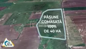 Teren PASUNE de 40ha, Comasat 100%, cu FS de 961 ml la Dr... 