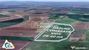 Teren PASUNE de 40ha, Comasat 100%, cu FS de 961 ml la Dr... 