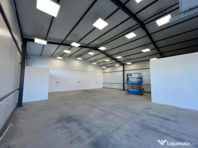 Spatiu industrial, 80 mp, Exterior Est