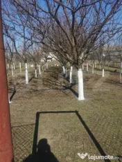 Casa de vanzare 6 camere la Varias jud.Timis 