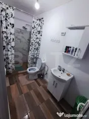 Casa de vanzare 6 camere la Varias jud.Timis 
