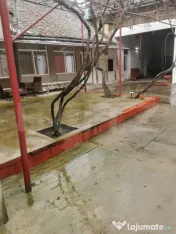 Casa de vanzare 6 camere la Varias jud.Timis 