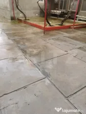 Casa de vanzare 6 camere la Varias jud.Timis 