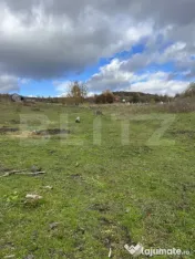 Parcela ideală de 1200 mp – spațiu, liniște și poten? 